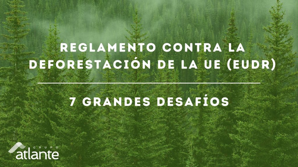 Reglamento Europeo contra la Deforestación